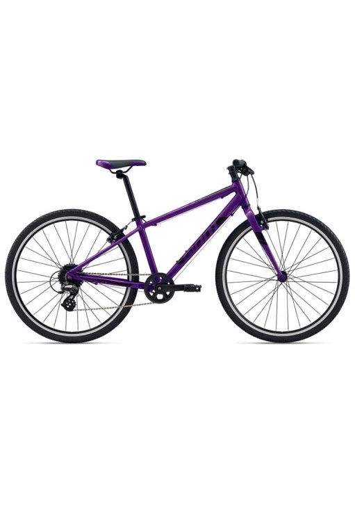 Bicicleta p/u copii Giant ARX 26
