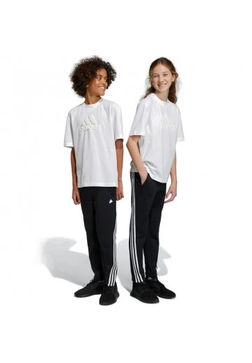 Брюки Adidas U FI 3S PT