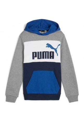 Толстовка Puma ESS BLOCK Hoodie TR B