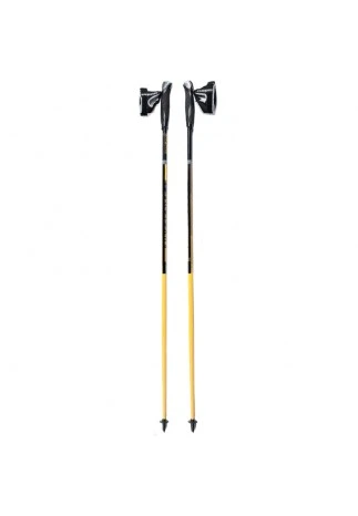 Bete nordic walking Masters PHYSIQUE 0.1 CARBON