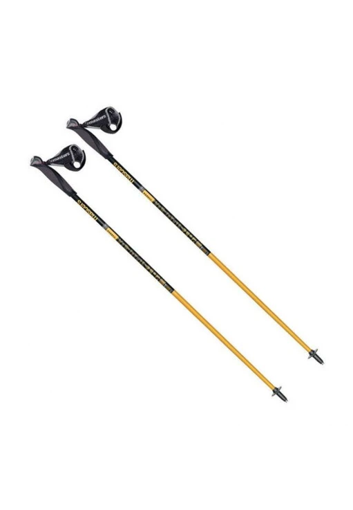 Палки для скандинавской ходьбы Masters 01N0319120
