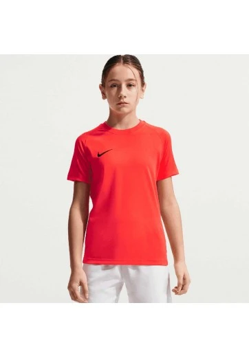 Футболка Nike PARK