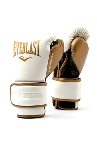 Перчатки для бокса Everlast POWERLOCK 2R
