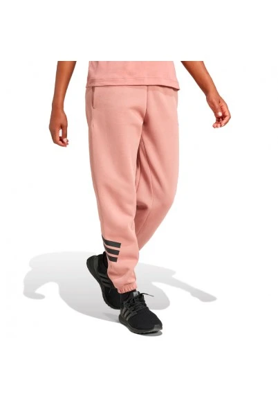 Брюки Adidas W FI 3S REG PT