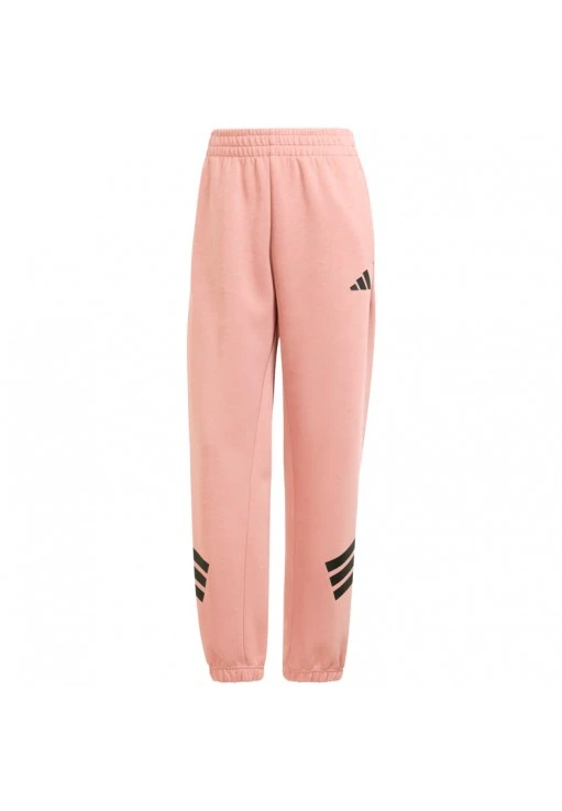 Брюки Adidas W FI 3S REG PT