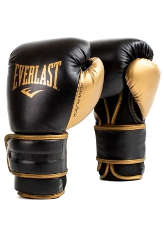 Перчатки для бокса Everlast POWERLOCK 2R
