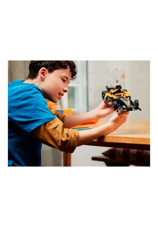 Constructor Lego 42169