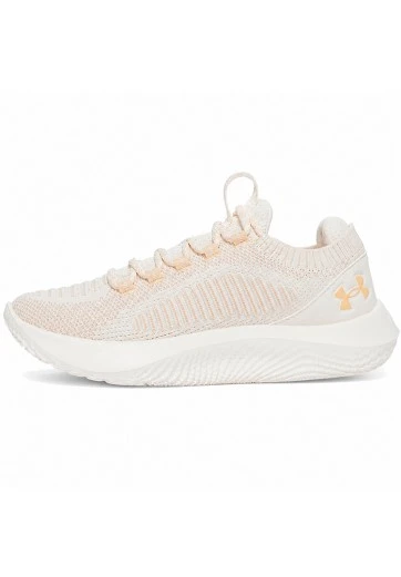 Кроссовки Under Armour UA W Dynamic 2