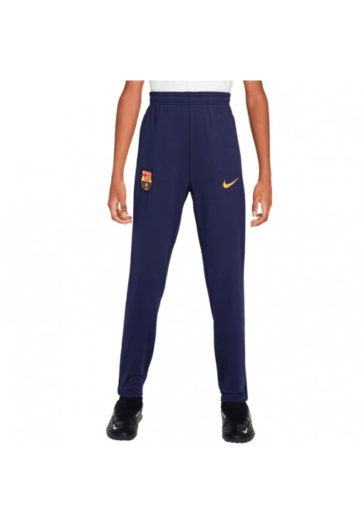 Брюки Nike FCB Y NK DF STRK PANT KPZ
