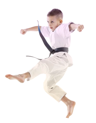 Единоборства